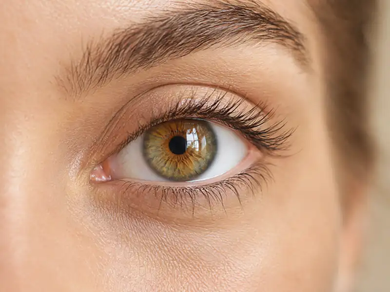 Close-up of a calm hazel eye in soft natural light